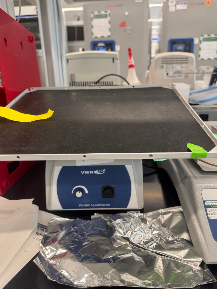 Image of VWR Variable Speed Rocker